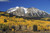 Posterazzi Aspen Trees In Autumn Rocky Mountains Colorado Usa Poster Print, (19 x 12)