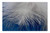 LESGAULEST Doormat Floor Rug/Mat (23.6 x 15.7 inch) - Feather Ease Airy Spring Dress Bird Feather 4