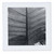 3dRose Image of Macro Banana Plant in Black and White - Quilt Squares (qs_355873_10)