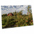 3dRose Apples in Orchard with Quilt barn Near Traverse City,... - Desk Pad Place Mats (dpd-189961-1)