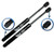 Two Rear Trunk Lid Gas Charged Lift Supports For 2009-2010 Chrysler 300. Left or Right Side. LSC-0124-C-2