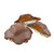 Lil Turtles Chocolate Caramel Pecan Turtles Candy | 6 Individually Sealed Chocolate Pecan Turtles, 2.2 Ounces Each | By GreenZep