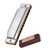 Harmonica Standard Key Of C A B E F Key 10-Hole 20 Tones Diatonic Harmonica For Beginner Harmonica Professional (Color : E Key)