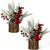Small Christmas Tree Tabletop Artificial Mini Christmas Tree Decorations with Holiday Ornaments Red Berry Pine Cone Greenery for Home Indoor Fireplace Mantel Xmas Decor (2pcs -Tree Stump-Red)