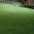 Outsidepride Midnight Kentucky Bluegrass Lawn Grass Seed - 5 LBS