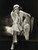 Irene Dunne - 24X36 Poster FCA #FCA305940