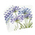Caspari Agapanthus Paper Luncheon Napkins, Four Packs of 20