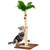 Leisuremix Cat Scratching Post 31.5" Tall Sisal Scratch Posts for Indoor Adult Cats, Large Palm Tree Cat Post with Dangling Balls, Cute Cat Scratching Post an Interactive Scratcher Cat Toy