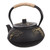 BRIGHTFUFU Stainless Steel Tea Pot Cast Iron Teapot Kettle You Can Teapots Water Heating Pot Tea Pot Water Pot Iron Heating Pot Stove Teapot Tea Maker Handled Teapot Household Boil Teapot