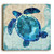 One Bella Casa Sea Turtle by Jill Meyer Planked Wood Wall Decor, One Size, Multicolor