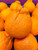Kejora Fresh Jumbo Dekopon Mandarin 4 LBS - Sweet and Seedless Mandarin Oranges