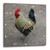 3dRose LLC Rooster Wall Clock, 10 by 10-Inch