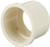 Zodiac 2" Collar, Light Cream