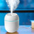 LADIGASU Portable Mini Humidifier, USB Humidifier With Colorful Lights Quiet Cool Mist Humidifier For Bedroom And Office Plants Easy To Clean