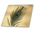 3dRose ct_172148_4 Elegant Peacock Feather on Gold-Ceramic Tile, 12-Inch