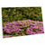 3dRose Springtime, Portland Japanese Garden, Portland, Oregon - Desk Pad Place Mats (dpd-208303-1)