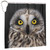 Owl Shower Curtain Decoration, Waterproof Bathroom Shower Curtain Hook Set 72inx72in