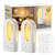 Indoor Flying Insect Trap, 2 Pack Fruit Fly Traps for Inside Home Plug-in Gnat Catcher Bug Light Insect Killer with Double-Sided Adhesive Glue Cards Fly Traps for Gnat, Moth, Fruit Flies