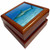Caribbean Reef Shark, Cuba, Jewelry Box jb-209313-1