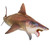 Prehistoric Dinosaur Models: 43 Haylee The Helicoprion