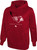 NFL Youth 8-20 Touchdown Team Color Performance Primary Logo Pullover Hoodie (10-12, Arizona Cardinals)