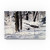 Symphony of Light by John Morrow, 12x19-Inch Canvas Wall Art