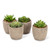 Abbott Collection 27-MOJAVE/11 Succulents in Pot (Set of 4), Grey