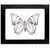 Baeotus japetus Verso Real Framed Butterfly Peru