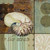 Contemporary Shell II Poster Print by Paul Brent, (24 x 24)