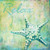Caribbean Shells IV Poster Print by Paul Brent, (24 x 24)