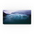 Margerie Glacier by Mitch Catanzaro, 12x24-Inch Canvas Wall Art