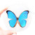 Morpho Menelaus Blue Butterfly Christmas Ornament Guyana