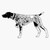 German Shorthaired Pointer 2 Vinyl Sticker Laptop Decal Waterproof 5"