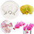 Orchid Flower Silicone Fondant Molds For Chocolate Cupcake Topper Cake Decoration Candy Sugar Craft Polymer Clay Gum Paste Orchid Flower Silicone Fondant Molds For Chocolate Cupcake Topper Cake Decoration Candy Sugar Craft Polymer Clay Gum Paste