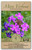 Seeds - Moss Verbena Seeds - Non-GMO Seeds with Easy to Follow Planting Instructions - Open-Pollinated Heirloom Flower Seeds (Verbena tenuisecta), 93% Germination Rate