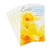 DaySpring Religious Easter Cards Pack, Daffodils (8 Cards with Envelopes)