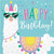 Llama Party Happy Birthday Napkins, 16 ct