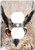 3dRose LLC lsp_9902_6 Eagle Owl, Bubo Bubo 2 Plug Outlet Cover