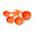 KitchenAid Classic Plastic Measuring Cups, Tangerine, Set of 4