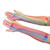 Women's Stretchy Rainbow Gradient Fingerless Fishnet Gloves Costume Party Accessories (1 pair)