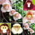 100 Rare Monkey Face Orchid Plant Seeds Monkey Orchid Monkey-Like Dracula Simia Seeds Blooms at Any Season Great Garden Gift