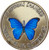 If Nothing Changed There'd Be No Butterflies Blue Butterfly Medallion AA NA