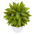 Nearly Natural 8399 21-in. Tradescantia Artificial White Vase (Real Touch) Silk Plants Green