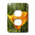 3dRose lsp_41200_6 Beautiful Orange California Poppy Flower- Spring Photography 2 Plug Outlet Cover
