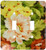 3dRose LLC lsp_16848_2 Spring Floral Double Toggle Switch
