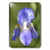 3dRose lsp_54453_1 Pretty Spring Iris Flower Toggle Switch