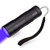 Grace Fun UV Flashlight Black Light,12 LED Ultraviolet Handheld Aluminum Torch Light 395nM LED Blacklight Detector for Dog/Cat pet Urine Detector Stain,Bed Bug,Scorpion Hunting,Money Inspection