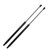 2x Front Hood Gas Spring Lift Support Shocks Struts For 1998-2002 Honda Accord