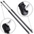 SCITOO Rear Liftgate Tailgate Lift Supports Struts Gas Springs Shocks fit 1998-2003 Dodge Durango