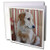 3dRose Golden Retriever - Greeting Cards, 6 x 6 inches, set of 12 (gc_4362_2)